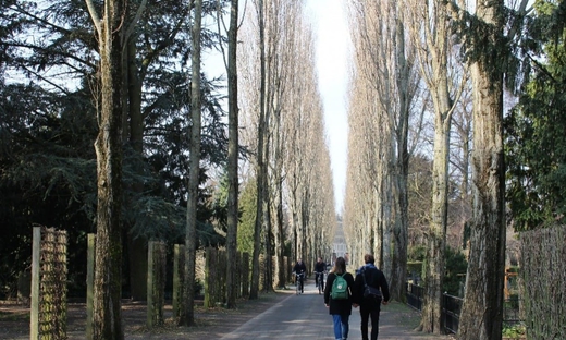 Nørrebro now - guided walking tour in Copenhagen