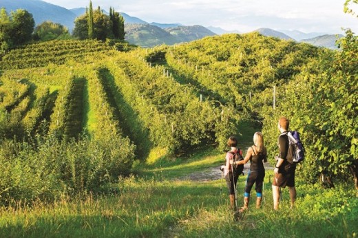 Due Notti Romantiche nello Chalet nel Bosco con Degustazione in Vigna