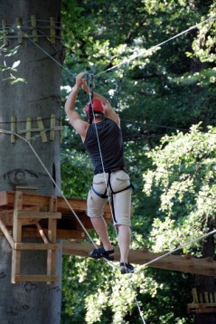 Arrampicata sugli alberi e corso corde