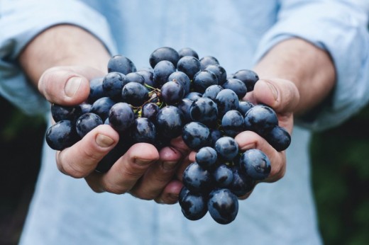 Degustazione Vini e Piatti Tradizionali