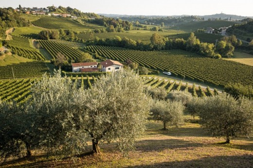 Soggiorno per 4 Persone alla Vigna di Sarah con Picnic