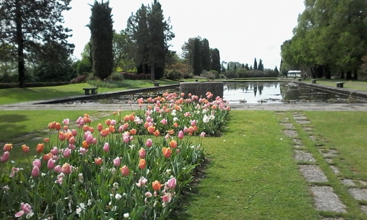 Biglietti per il Parco Giardino Sigurtà con noleggio minicart