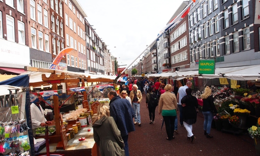 Amsterdam Walking Tour and Canal Cruise