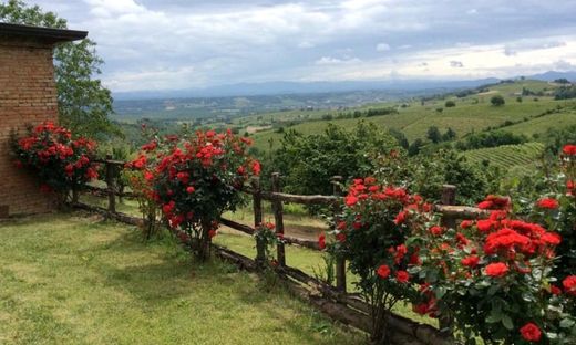 Visita privata e degustazione di vini esclusivi alla cantina Marenco di Strevi, Monferrato per 4