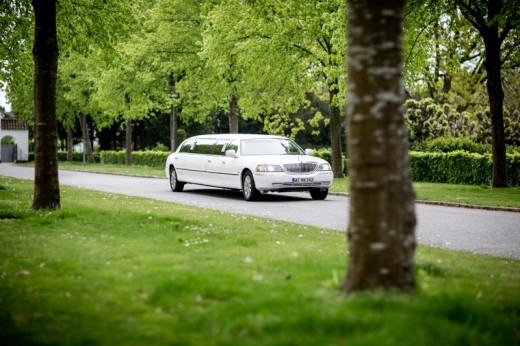 Addio al celibato Lubiana in limousine