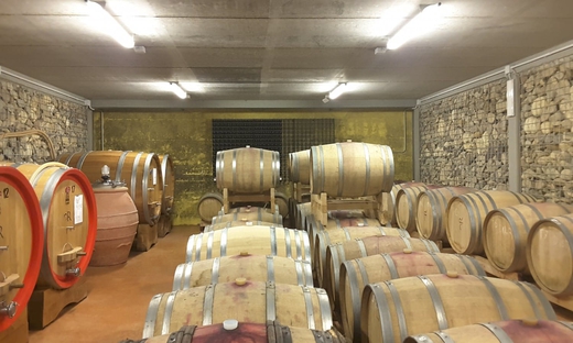 Dolcetto and Barbera wine tasting with winery tour in Monferrato