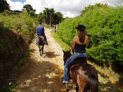 Lezione di equitazione & soggiorno 1 notte