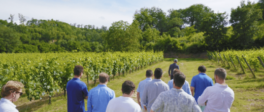 Tour dei Grands Crus a Saint-Émilion: visita del paese e dei vigneti