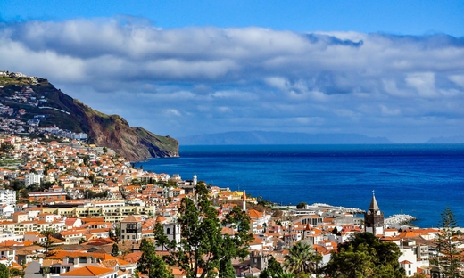 Escursione per crociere: tour guidato a piedi di Funchal
