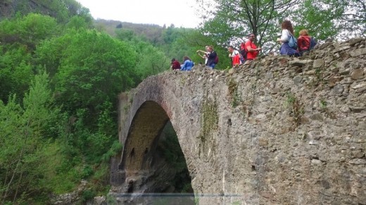 Soggiorno nel Bosco con Esperienza sul Fiume 