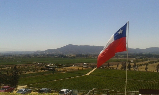 Chilean Vineyards and Wine Tour: Casas del Bosque & Indomita
