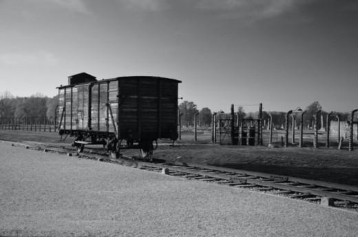 Tour del museo di Auschwitz-Birkenau da Cracovia