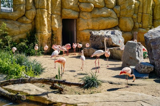 Glamping in Coppia Bioparco Zoom Torino 