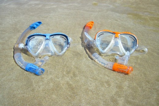 Snorkeling Liguria con guida 