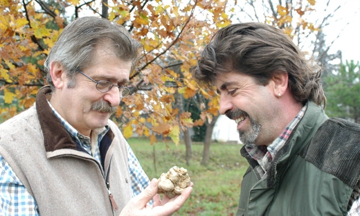 Caccia al tartufo e degustazione nelle Langhe