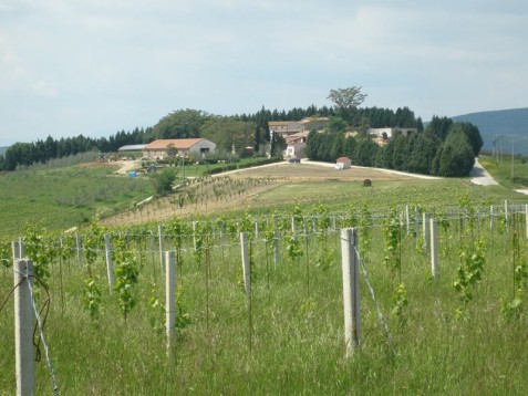 DAY SPA E RELAX PER L'ADDIO AL NUBILATO A MONTEFALCO