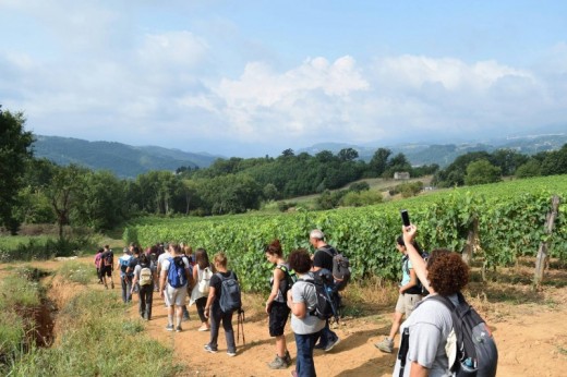 Soggiorno nella natura con escursione in Calabria