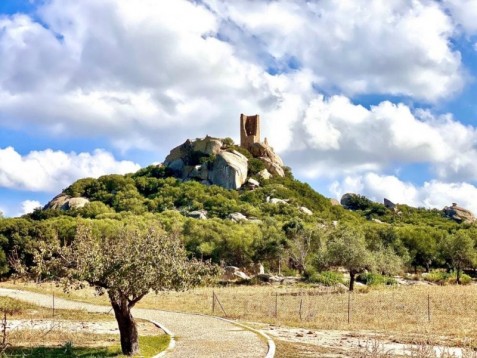 Tour archeologico in minivan tra la storia della Sardegna