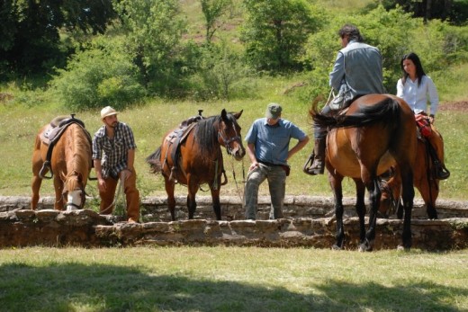 Una settimana con mezza pensione in agriturismo e 6 passeggiate cavallo