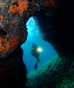 Immersione Sotto le Stelle Isole Tremiti Puglia