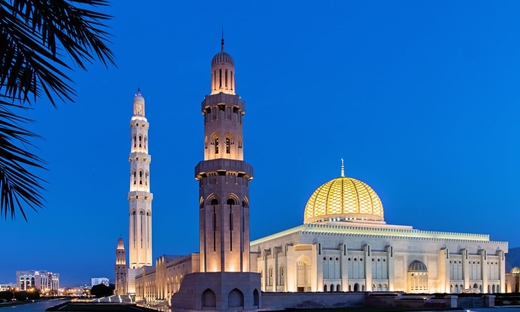 Escursione per crociere: tour della città di Muscat di mezza giornata