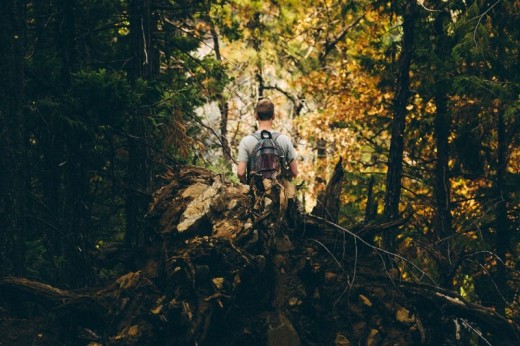 Corso su come sopravvivere persi nel bosco