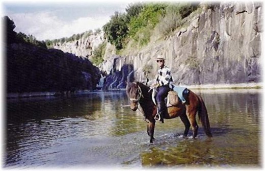 Lezione di equitazione