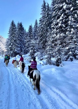 Lezione di Equitazione per Adulti