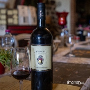 Visita al Vigneto e alla Cantina con Degustazione a Peccioli