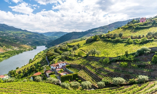 Porto degustazione vini con pranzo