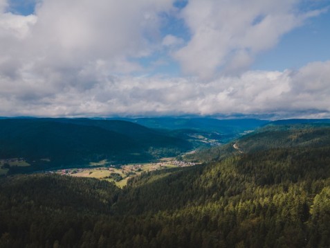 Foresta Nera in Famiglia: Magia, Natura e Avventura per 4