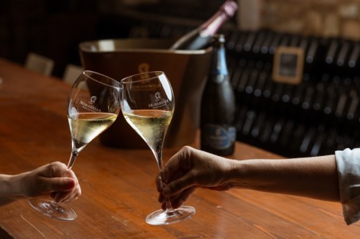 Degustazione vini Franciacorta con visita del vigneto e delle cantine - 3 calici