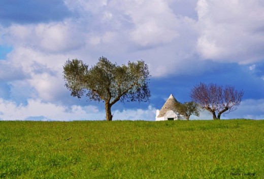 Tour di Alberobello e Valle d'Itria con pernottamento