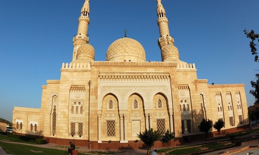 Escursione per crociere: tour di una giornata intera dei sei emirati