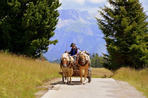 Passeggiata In Carrozza Per 3 Persone