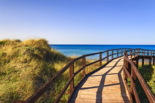 Monopoli e il Parco delle Dune Costiere in gruppo