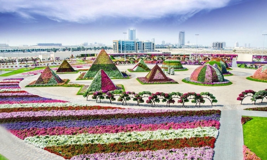 Flora and Fauna Tour in Dubai