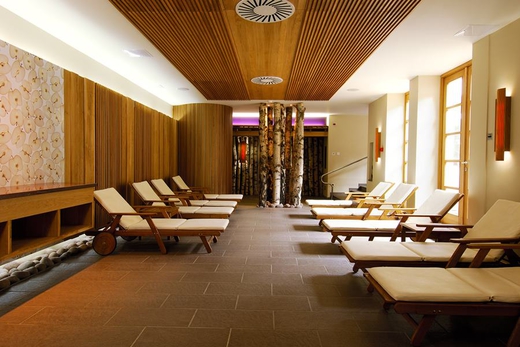 WELLNESS 2x1 ALLE TERME IN SLOVENIA