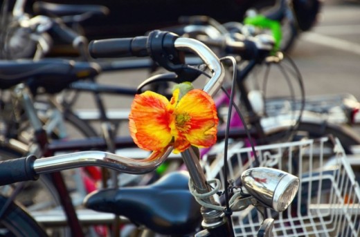 Roma: tour in bici per due con degustazione gastronomica