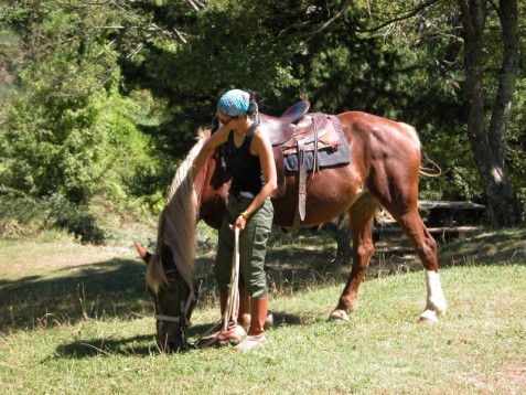 Una settimana con pensione completa in agriturismo ed esperienza yoga e horsemanship 