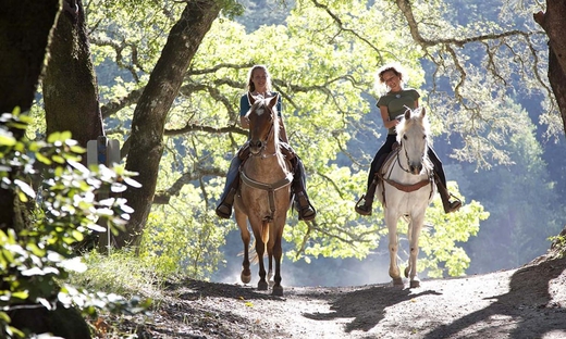 Passeggiata a cavallo da Siena