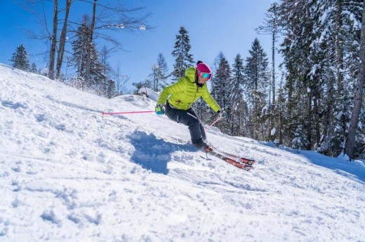 Safari Sulla Neve