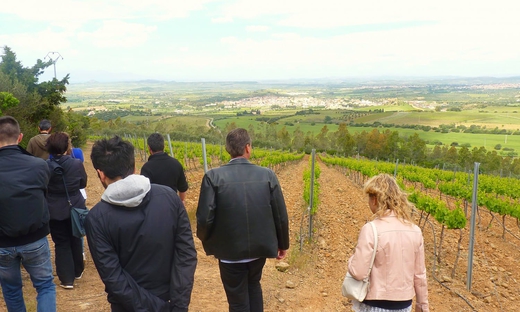 Wine tour con degustazione nei dintorni di Cagliari