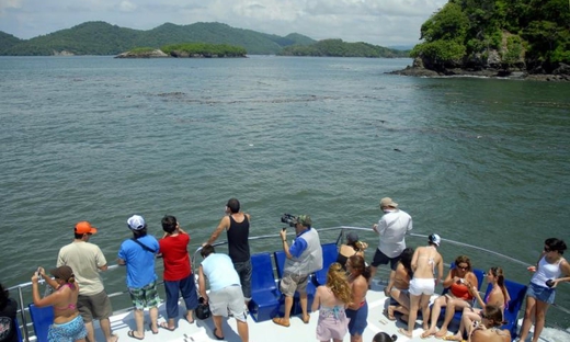 Tortuga Island Cruise From San José