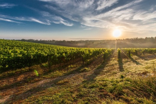 Weekend romantico tra i vigneti toscani