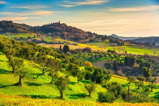 Tour dell'agriturismo di Cinta Senese con pranzo leggero a Montepulciano