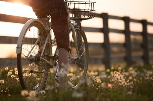 Escursione in bici dalla Basilicata alla Puglia per 2