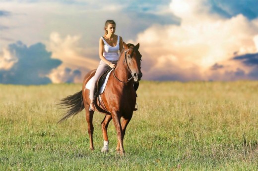 Cofanetto Regalo Giornata a Cavallo: Regali per chi ama i cavalli