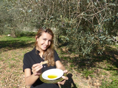 Tour della cantina e dell'olivo di Maiorca con degustazione di vini