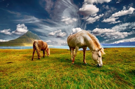 Cinque Lezioni Di Equitazione In Puglia